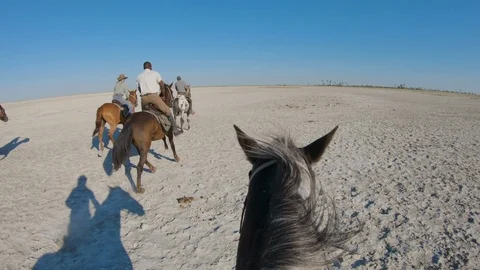 Slow motion view of a group of horse riders on safari cantering across the wide Stock Footage 107209305