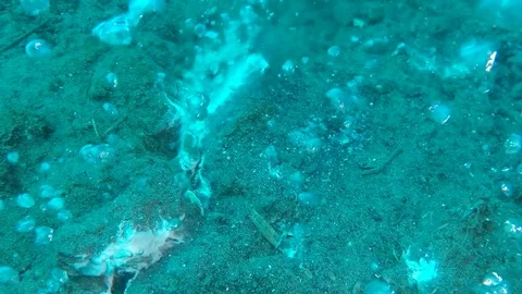 Slow motion view of hot water bubbles, rising from underwater volcano Stock Footage 82247356