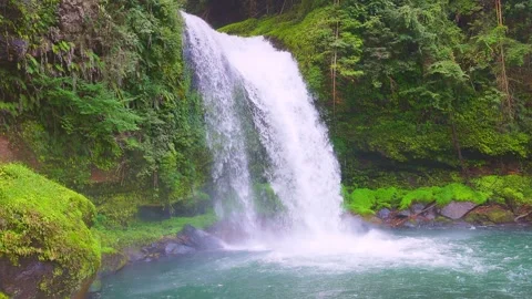 Slow motion view of Jion Falls cascading past mossy rock cliffs 動画素材 341806413