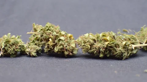 Slow motion, view of marijuana buds passing on black background. Details of c Stock Footage 136042113