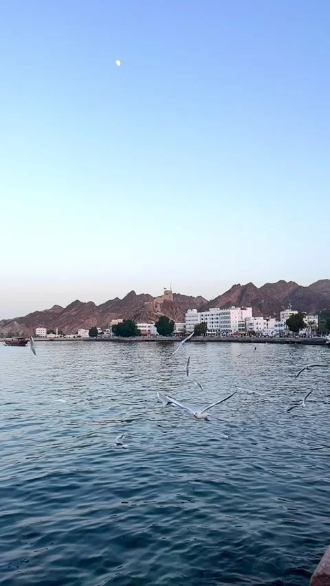 Slow motion view from Muttrah Corniche. Muscat, oman - January 02 2026 Stock Footage 325902279