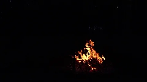 Slow motion view on orange fire flames burning on campfire on black background Stock Footage 102388841