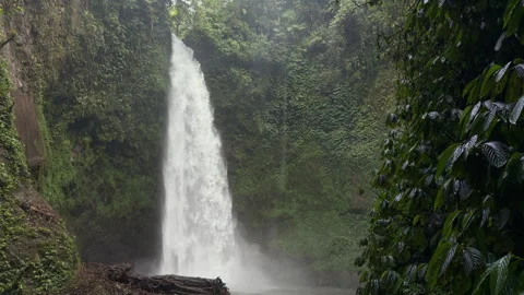 Slow motion view of powerful Nungnung waterfall in tropical canyon 스톡 동영상 336335740