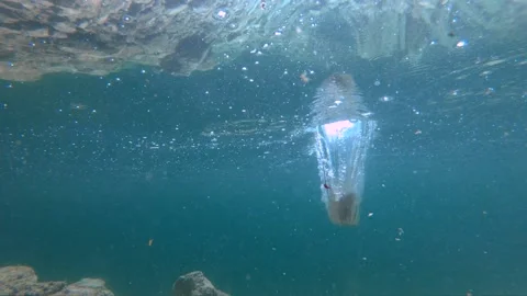 Slow motion view of rock falling in shallow lake water Stock Footage 137157623