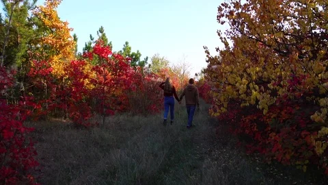 Slow motion view on romantic couple in love holding hands walking along colorful Stock Footage 99403708