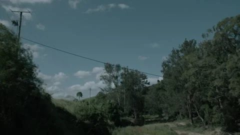 Slow Motion View of Rural Landscape with Trees and Power Line, Sunshine Coast Hi Stock Footage 341297738