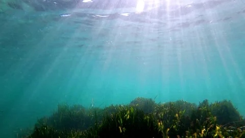 Slow motion view of sea bottom or seabed full of algae and blue deep water Vídeos de archivo 140187844