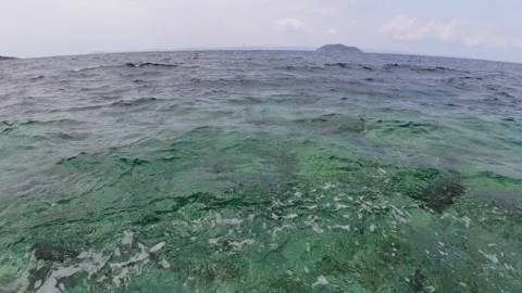 Slow motion view of sea waves with clear green water near the shore, distant Stock Footage 313797458