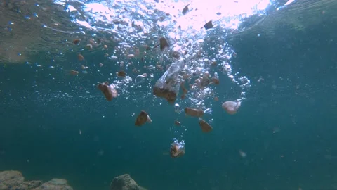 Slow motion view of small rocks falling in shallow lake water Stock Footage 137157534