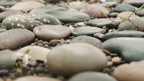 Slow motion, view of small smooth stones on the seashore Video stock 220574600