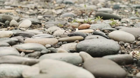 Slow motion, view of small smooth stones on the seashore Stock Footage 220575360