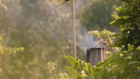 Slow motion view of smoke coming out of the rustic chimney of a farm house, i Stock Footage 308758888