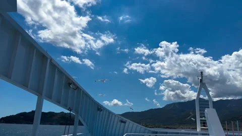 Slow Motion View Of Stern Of Ferry, Seagulls Flying Past, Coastal Landscape Stock Footage 267465465