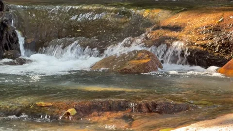 Slow motion view of stream water bending around stones, revealing smooth Stock Footage 327908302