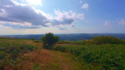 Slow motion view of sunny hill slope and valley landscape Stock Footage 340436843