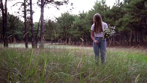 Slow motion view on tender young woman picking wild flowers making aesthetic Stock Footage 102338313