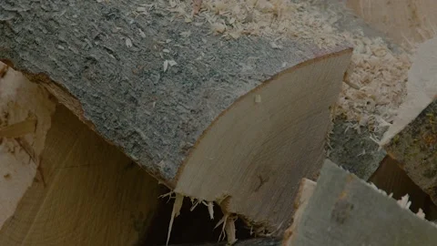 Slow motion view of throwing logs into a pile Stock Footage 161748356
