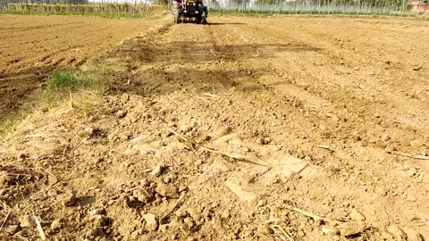 Slow motion view of tractor in the field. Video stock 142950554