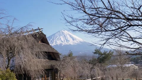 Slow motion view of a traditional thatched roof housing hut surrounded by Stockbeeldmateriaal 335379762