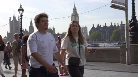 Slow motion view of traffic and pedestrians passing on Westminster Bridge Stock Footage 260022011