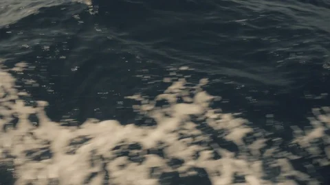 A slow motion view of the wake behind a large cruise ship at sea. Stock Footage 99009679