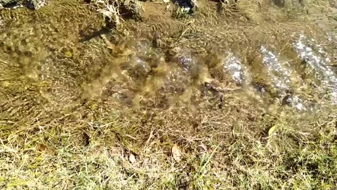 Slow motion view of water flowing in the field. Video stock 142655216