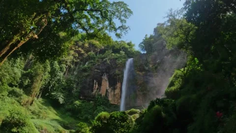 Slow motion view of a waterfall in a tropical rain forest Video stock 319886190