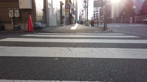 Slow motion view while crossing street and walking on the pathway in Tokyo in ea Stock Footage 245325610