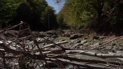 Slow Motion view of Wild Mountain River With Green Forest And River Stones Rocks Stock Footage 255007801