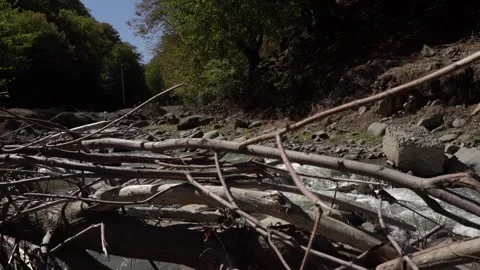 Slow Motion view of Wild Mountain River With Green Forest And River Stones Rocks Stock Footage 255007821