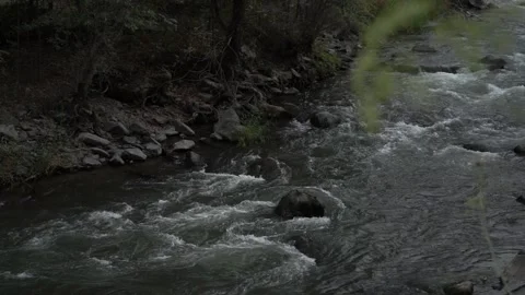 Slow Motion view of Wild Mountain River With Stones and Rocks Video stock 255007882
