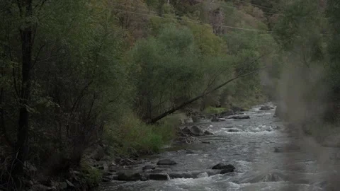 Slow Motion view of Wild Mountain River With Green Forest And River Stones Rocks Stock Footage 255007888