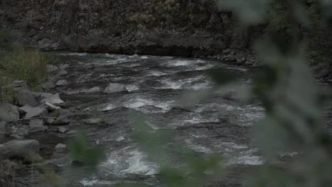 Slow Motion view of Wild Mountain River With Green Forest And River Stones Rocks Stock Footage 255007889