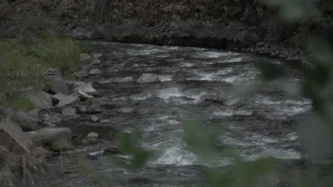 Slow Motion view of Wild Mountain River With Green Forest And River Stones Rocks Stock Footage 255007893