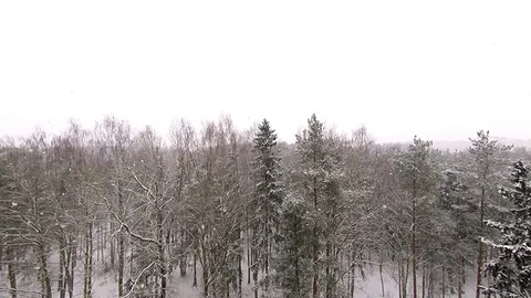 Slow motion. The view from the window on the flying of large fluffy snow Stock Footage 85114431