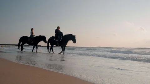 SLOW MOTION. View of women riding beautiful horses wading through the sea Stock Footage