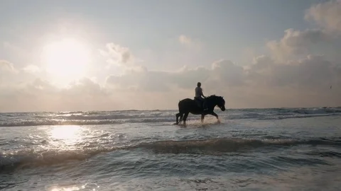 SLOW MOTION. View of women riding beautiful horses wading through the sea Stock Footage
