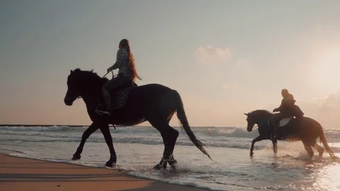 SLOW MOTION. View of women riding beautiful horses wading through the sea Stock Footage