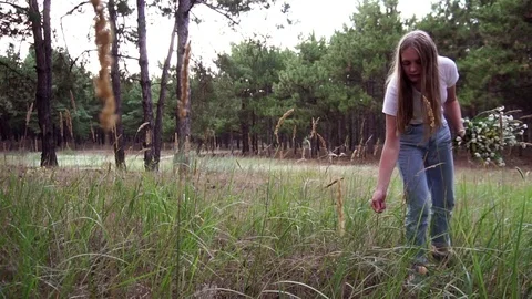 Slow motion view on young blonde collecting field flowers composing aesthetic Stock-Footage 102338615