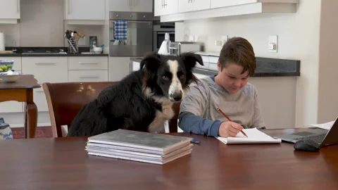 Slow motion view of a young school boy busy with home schooling,Covid-19 Stock Footage 131367436