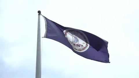 Slow Motion Virginia State Flag Waving In The Wind Stock Footage 64296037