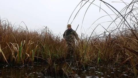 Slow motion walk of duck hunter in swamp Stock Footage 100630151