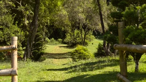 Slow Motion Walking Back Through Japanese Garden Path Vídeos de archivo 327568155