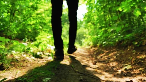 Slow motion. Walking in the forest on a sunny day. Bottom angle. Footages UHD 4K 스톡 동영상 113094677