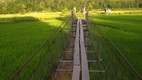 Slow motion of walking on the hanging bridge with paddy field background. Stock Footage 107888997