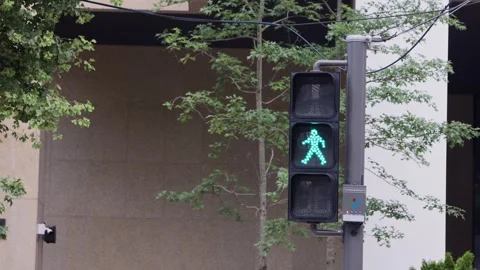 Slow motion of walking man traffic light illuminated in Seoul Stock Footage 314519988
