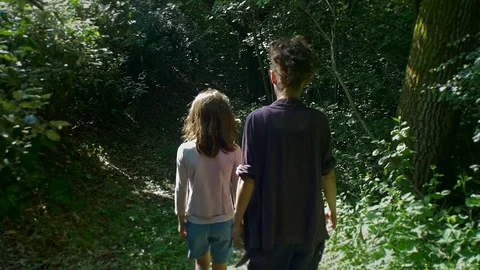 Slow motion walking in the woods Stock Footage 76776581