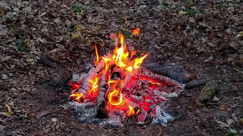 Slow Motion Warm Campfire Glow 库存影片 342280172