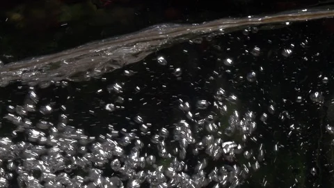 Slow motion of water boiling with plenty bright air bubbles in glass bowl Stock Footage 100239132