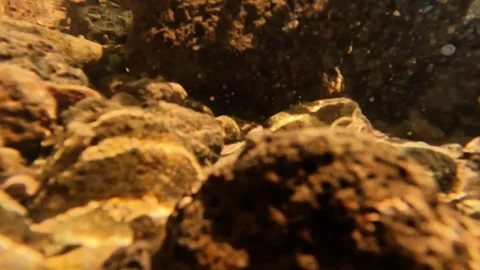 Slow motion water bubbles at the bottom of a clear mountain river Stock-Footage 319809629